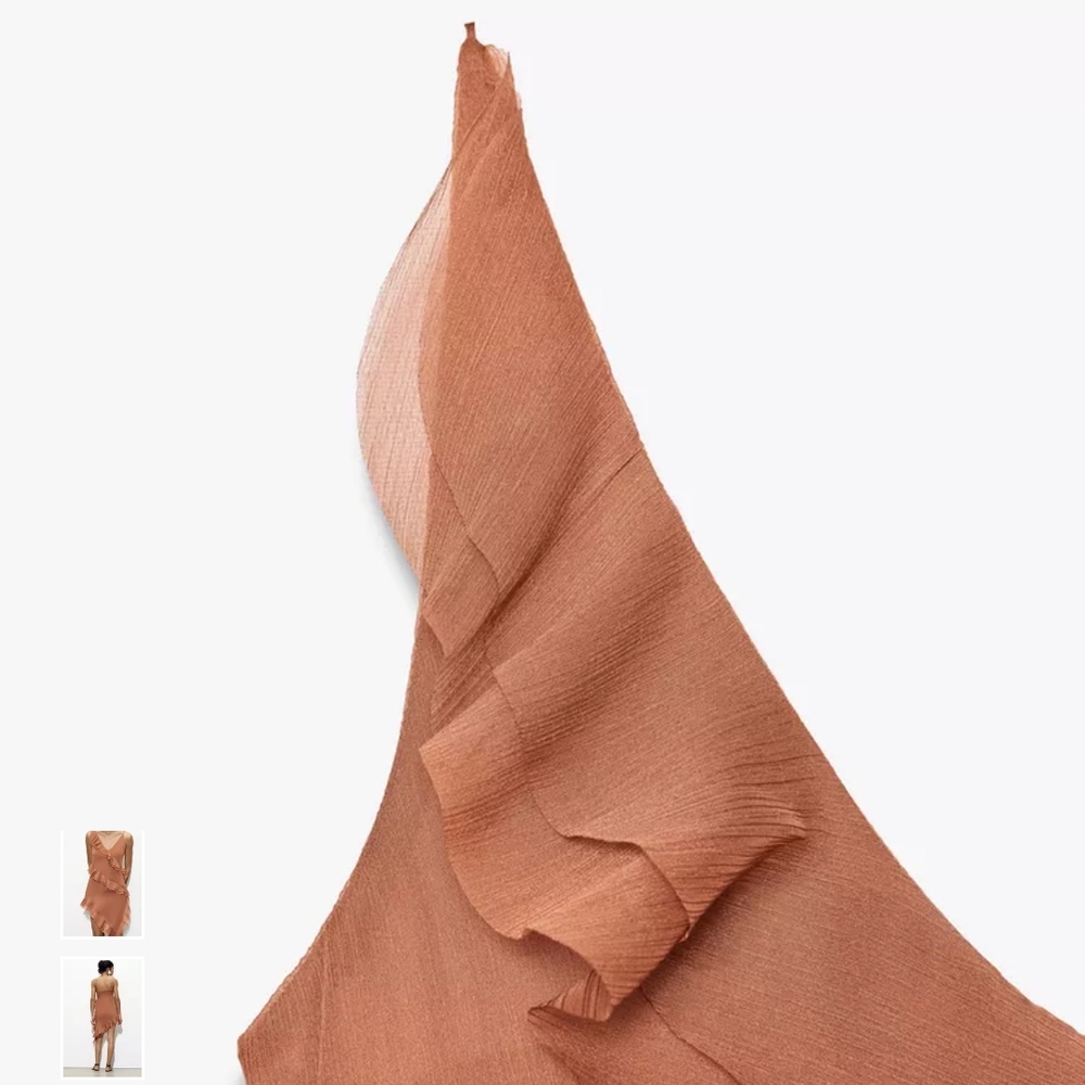 Zara Ruffled Mini Dress in Brown - Picture 6 of 14